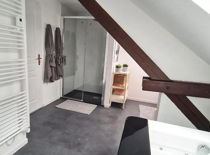 L'alchimiste - Moderne Avec Jacuzzi Appartement Bitche